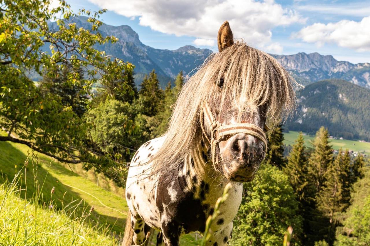 Bucheggerhof Apartment Schladming Bagian luar foto