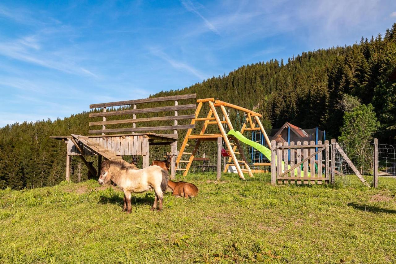 Bucheggerhof Apartment Schladming Bagian luar foto